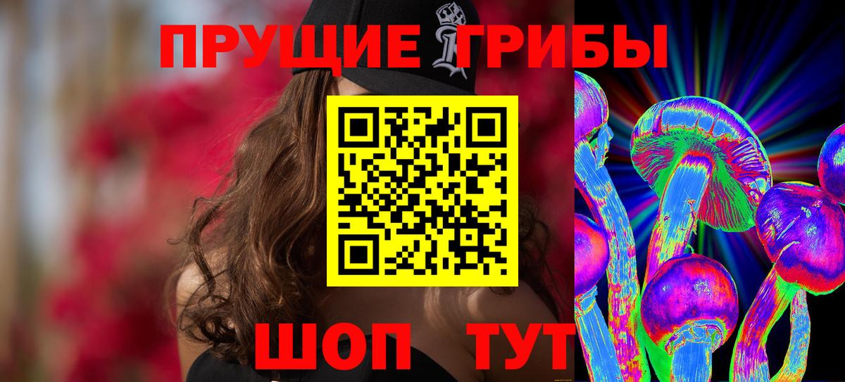 Заводоуковск  Псилоцибиновые грибы MAGIC MUSHROOMS  Вход с VPN 