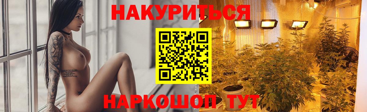 Канабис планчик  Конопля семена  Заводоуковск  Конопля THC 21%  Вход с VPN 